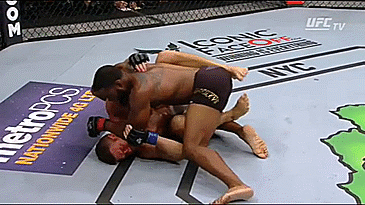 Woodley damage from the top.gif