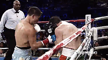GGG power 1.gif Knock out