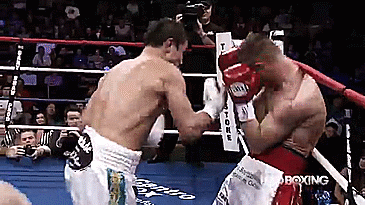 GGG pressures a fighter.gif